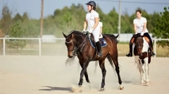 Trot ușor și educațional